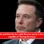 Elon Musk said that the far-right German party is the only one capable of "saving Germany