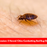 Insect Invasion 5 Hawaii Cities Combatting Bed Bug Onslaught