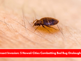 Insect Invasion 5 Hawaii Cities Combatting Bed Bug Onslaught