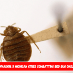 Insect Invasion 5 Michigan Cities Combatting Bed Bug Onslaught