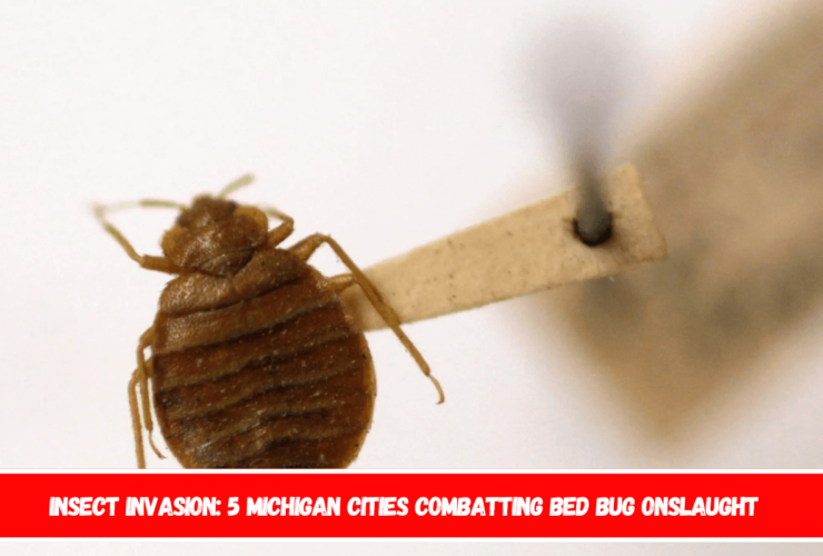 Insect Invasion 5 Michigan Cities Combatting Bed Bug Onslaught