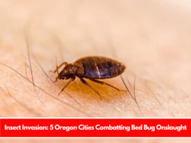 Insect Invasion 5 Oregon Cities Combatting Bed Bug Onslaught