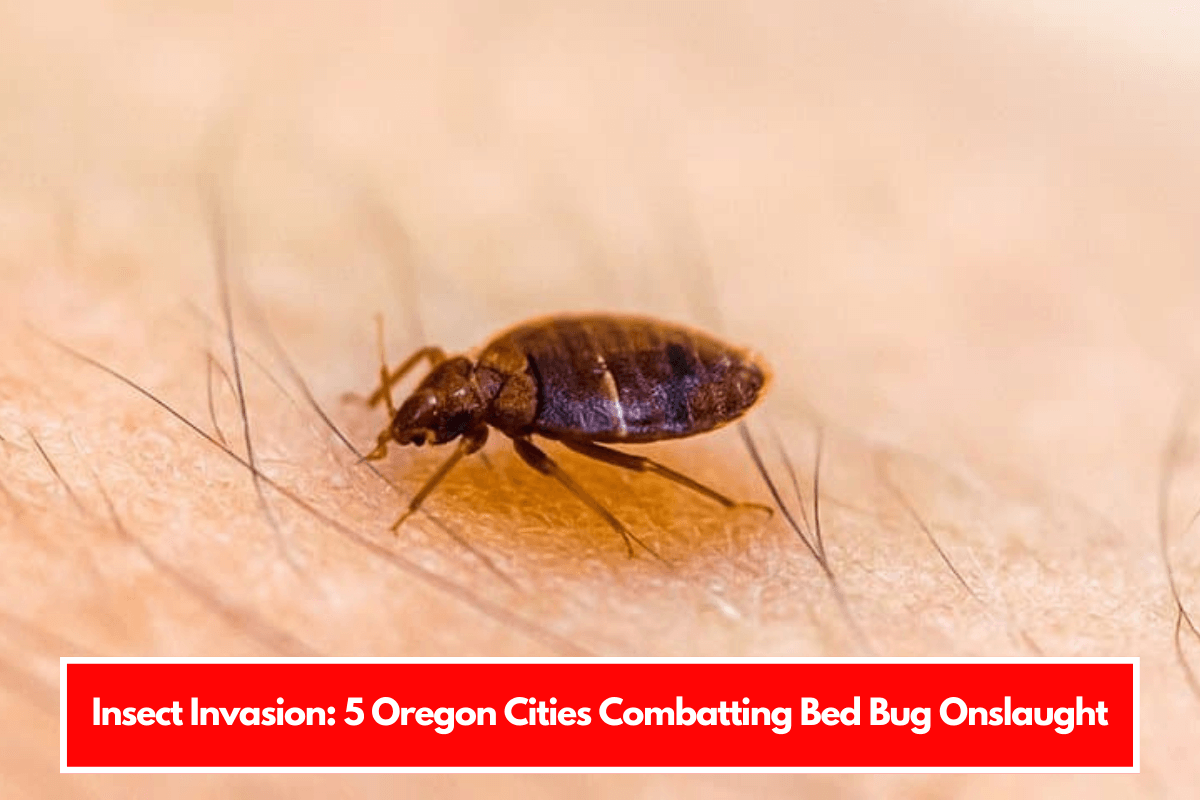 Insect Invasion 5 Oregon Cities Combatting Bed Bug Onslaught