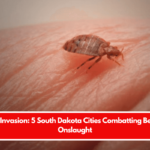 Insect Invasion: 5 South Dakota Cities Combatting Bed Bug Onslaught