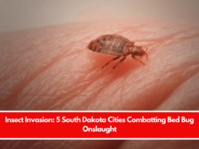 Insect Invasion: 5 South Dakota Cities Combatting Bed Bug Onslaught