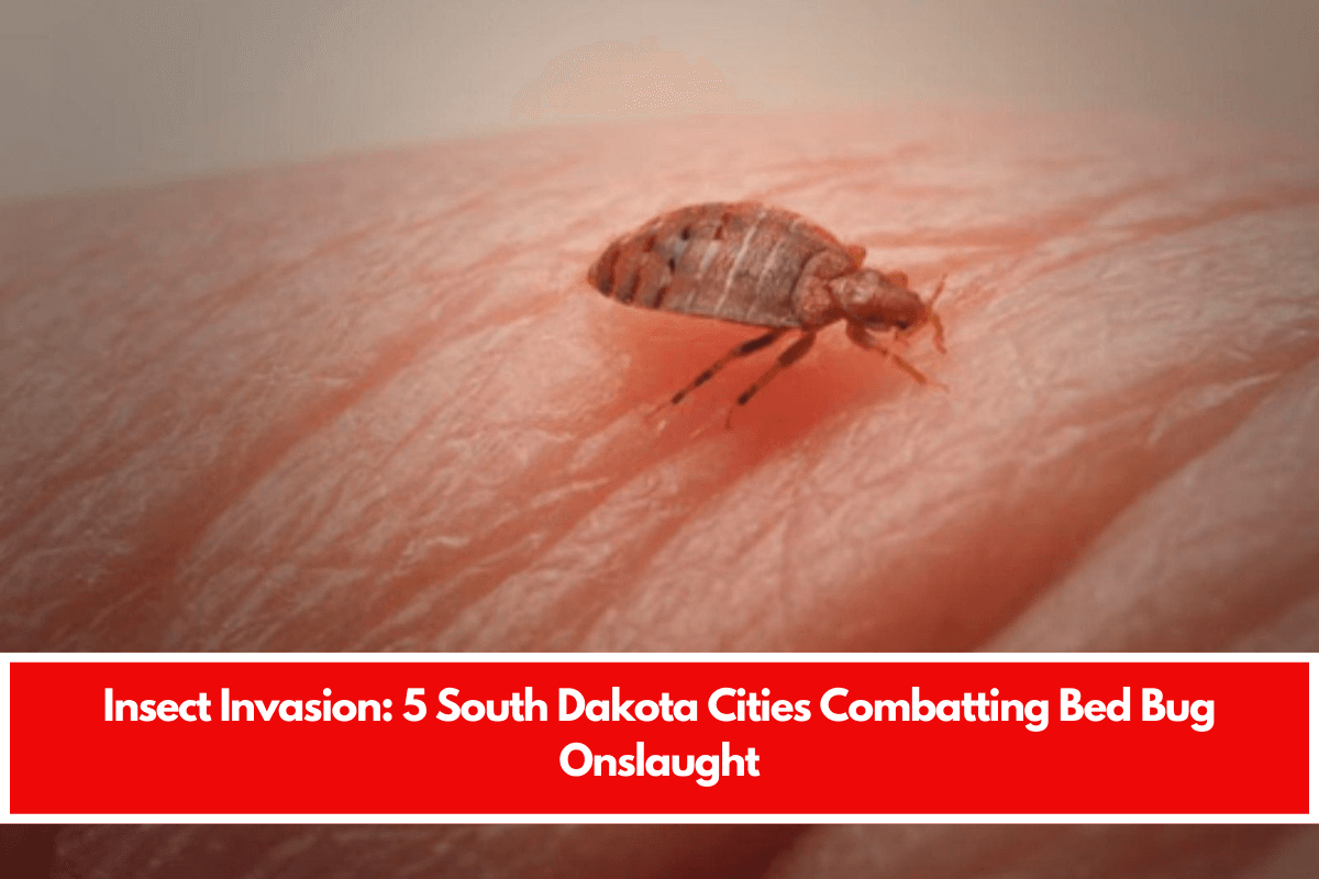 Insect Invasion: 5 South Dakota Cities Combatting Bed Bug Onslaught