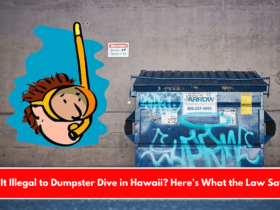 Is It Illegal to Dumpster Dive in Hawaii Here’s What the Law Says