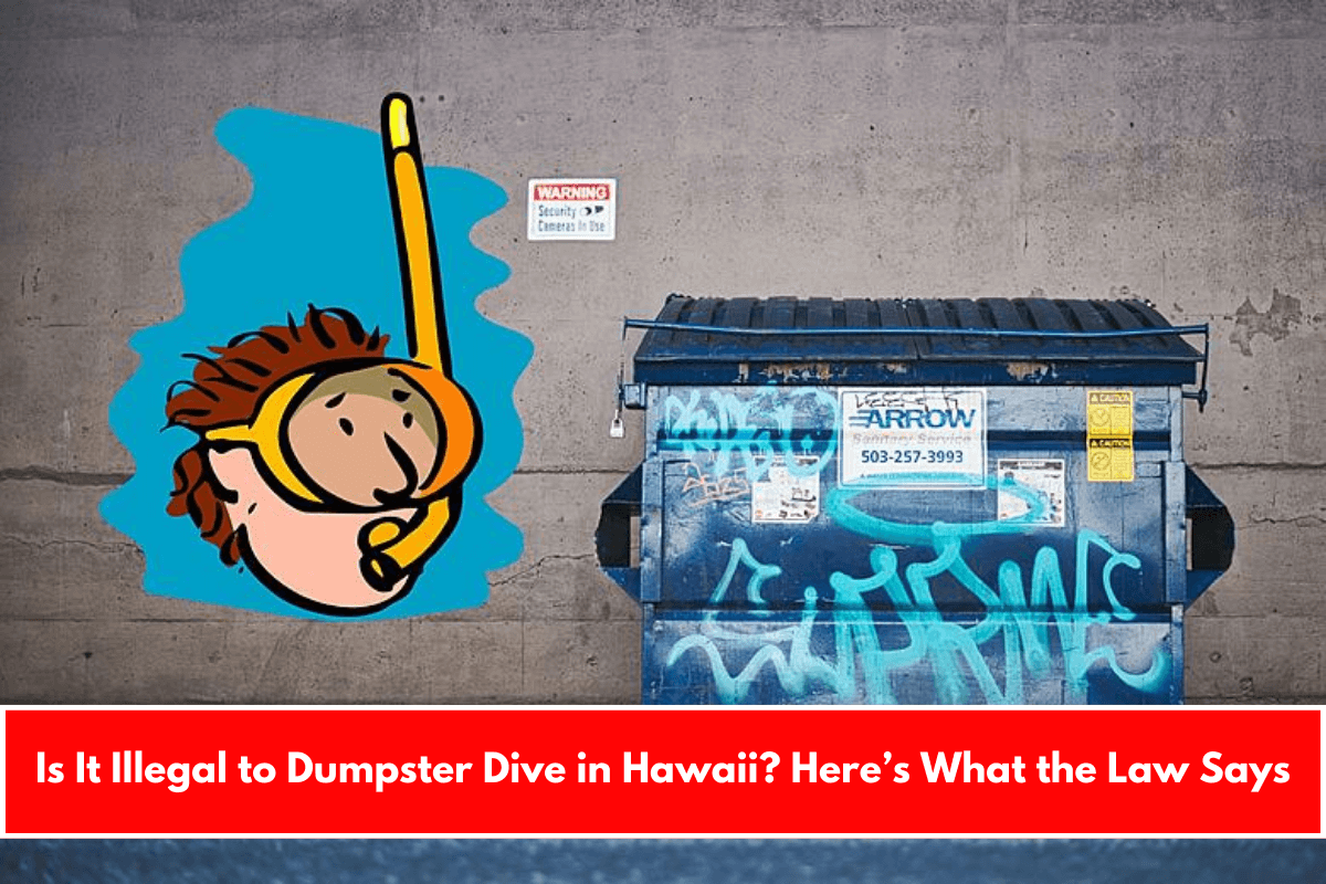 Is It Illegal to Dumpster Dive in Hawaii Here’s What the Law Says