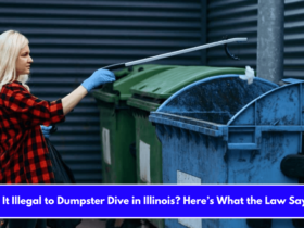 Is It Illegal to Dumpster Dive in Illinois Here’s What the Law Says