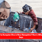 Is It Illegal to Dumpster Dive in New Hampshire Here’s What the Law Says