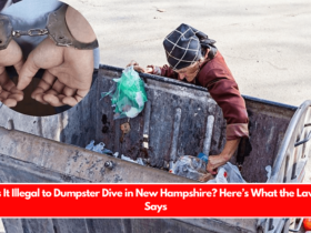 Is It Illegal to Dumpster Dive in New Hampshire Here’s What the Law Says