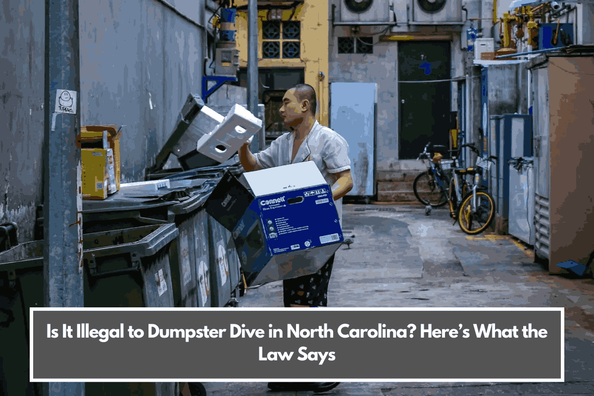 Is It Illegal to Dumpster Dive in North Carolina Here’s What the Law Says