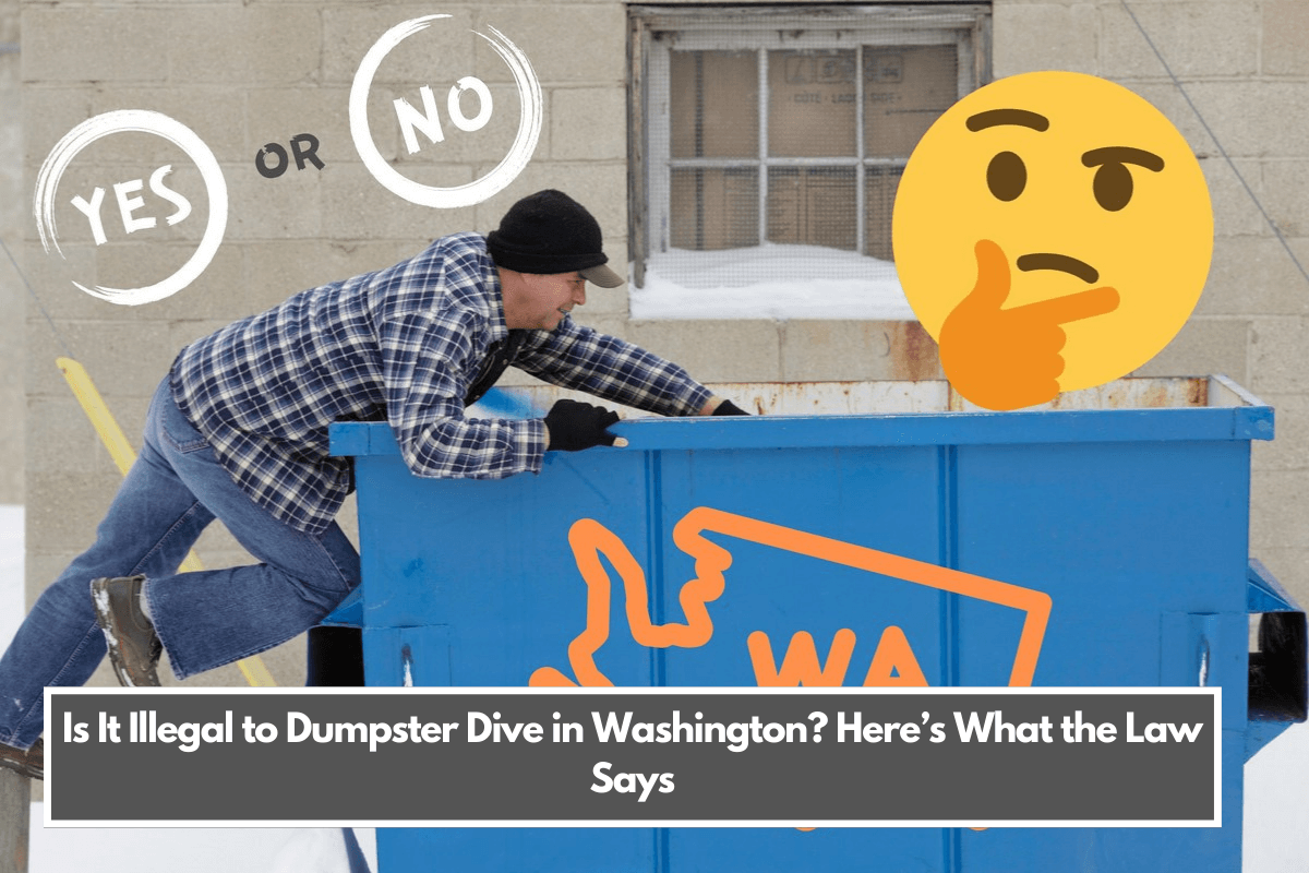 Is It Illegal to Dumpster Dive in Washington Here’s What the Law Says