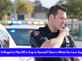 Is It Illegal to Flip Off a Cop in Hawaii Here's What the Law Says