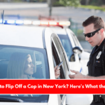 Is It Illegal to Flip Off a Cop in New York Here's What the Law Says