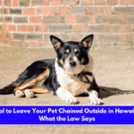 Is It Illegal to Leave Your Pet Chained Outside in Hawaii Here's What the Law Says