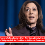 Kamala Harris is Telling Backers She's 'Not Going Quietly Into the Night' and Is Weighing Bids for President or California Governor CNN