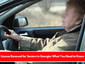 License Renewal for Seniors in Georgia What You Need to Know