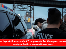 Mass deportations are what Trump wants. For the agents removing immigrants, it's a painstaking process