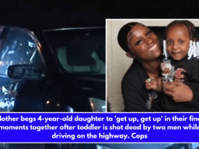 Mother begs 4-year-old daughter to 'get up, get up' in their final moments together after toddler is shot dead by two men while driving on the highway. Cops