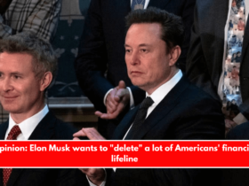 Opinion Elon Musk wants to delete a lot of Americans' financial lifeline