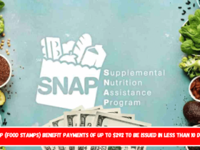 SNAP (Food Stamps) benefit payments of up to $292 to be issued in less than 10 days