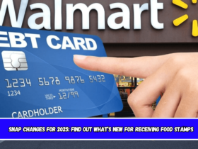 SNAP changes for 2025: find out what’s new for receiving Food Stamps