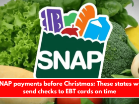 SNAP payments before Christmas These states will send checks to EBT cards on time