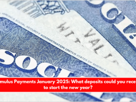 Stimulus Payments January 2025 What deposits could you receive to start the new year