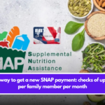 The best way to get a new SNAP payment: checks of up to $292 per family member per month