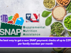 The best way to get a new SNAP payment: checks of up to $292 per family member per month