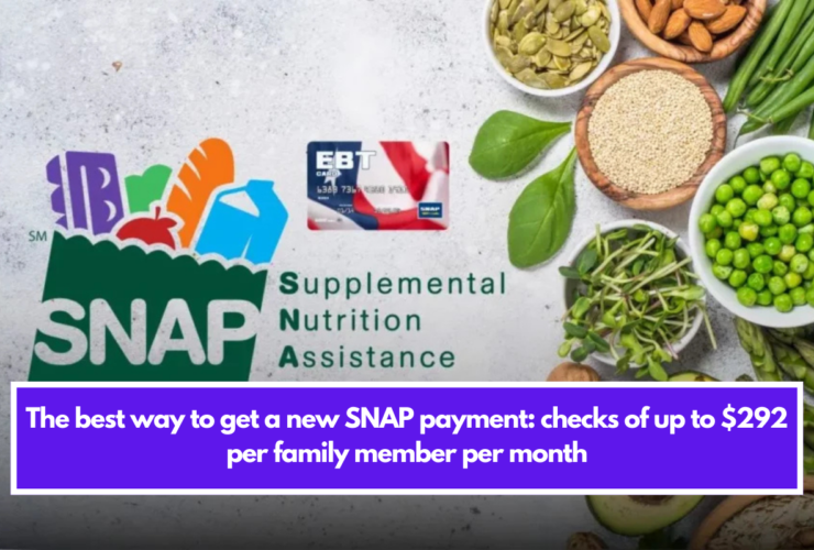 The best way to get a new SNAP payment: checks of up to $292 per family member per month