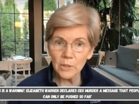 'This is a Warning' Elizabeth Warren Declares CEO Murder a Message That People Can Only Be Pushed So Far'