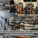 Thousands of mushrooms, an arsenal of firearms, and explosives were confiscated from an Oregon home