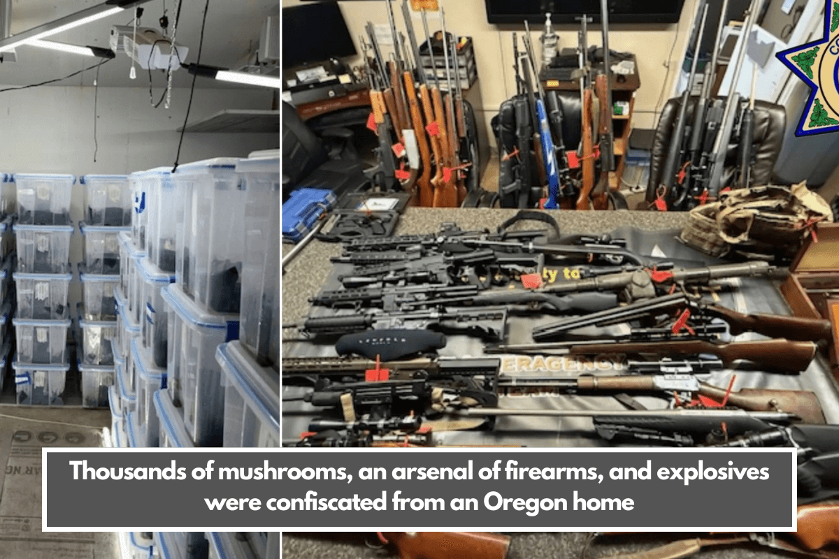 Thousands of mushrooms, an arsenal of firearms, and explosives were confiscated from an Oregon home