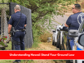 Understanding Hawaii Stand Your Ground Law