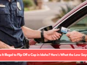 Is It Illegal to Flip Off a Cop in Idaho? Here's What the Law Says