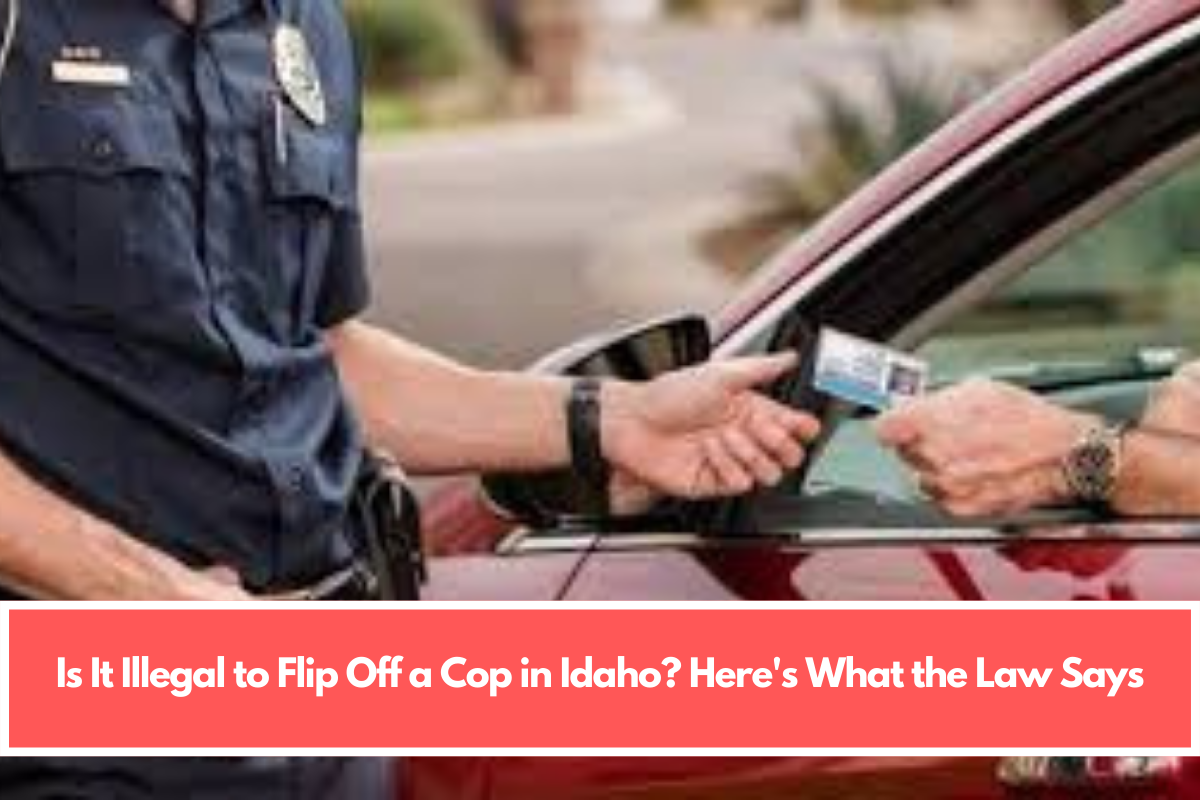 Is It Illegal to Flip Off a Cop in Idaho? Here's What the Law Says