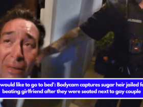 'I would like to go to bed': Bodycam captures sugar heir jailed for beating girlfriend after they were seated next to gay couple