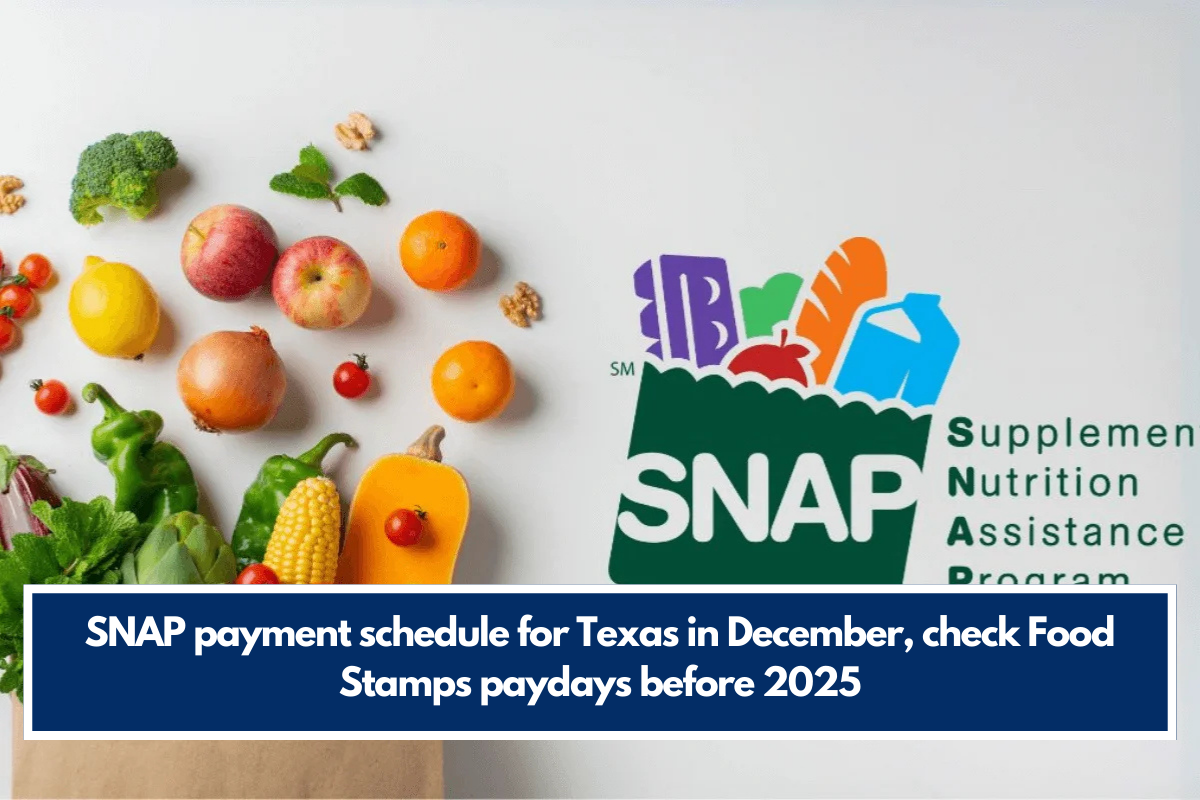 SNAP payment schedule for Texas in December, check Food Stamps paydays before 2025