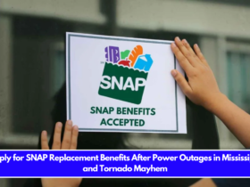 Apply for SNAP Replacement Benefits After Power Outages in Mississippi and Tornado Mayhem