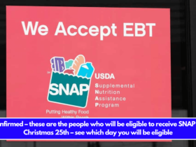 Confirmed – these are the people who will be eligible to receive SNAP on Christmas 25th – see which day you will be eligible