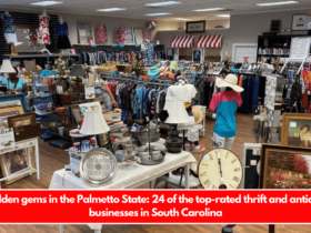 Hidden gems in the Palmetto State 24 of the top-rated thrift and antique businesses in South Carolina