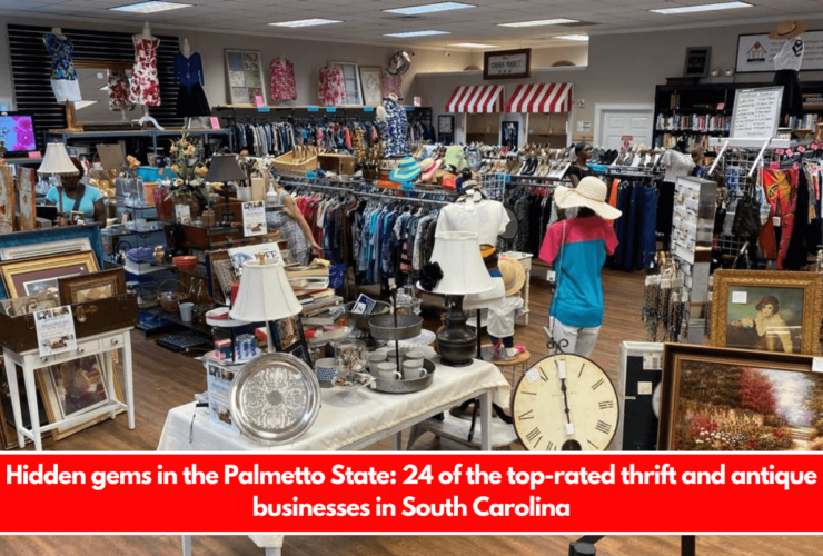 Hidden gems in the Palmetto State 24 of the top-rated thrift and antique businesses in South Carolina