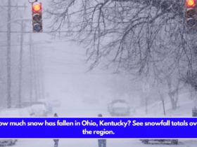 How much snow has fallen in Ohio, Kentucky See snowfall totals over the region.