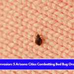 Insect Invasion 5 Arizona Cities Combatting Bed Bug Onslaught