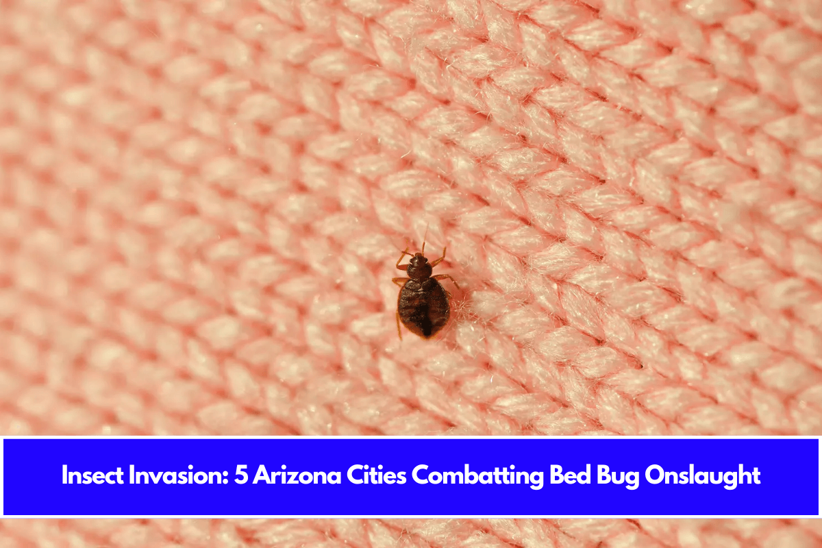 Insect Invasion 5 Arizona Cities Combatting Bed Bug Onslaught