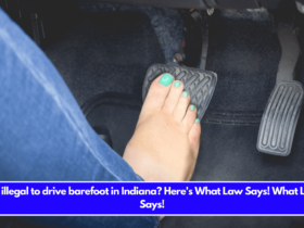 Is it illegal to drive barefoot in Indiana Here's What Law Says! What Law Says!