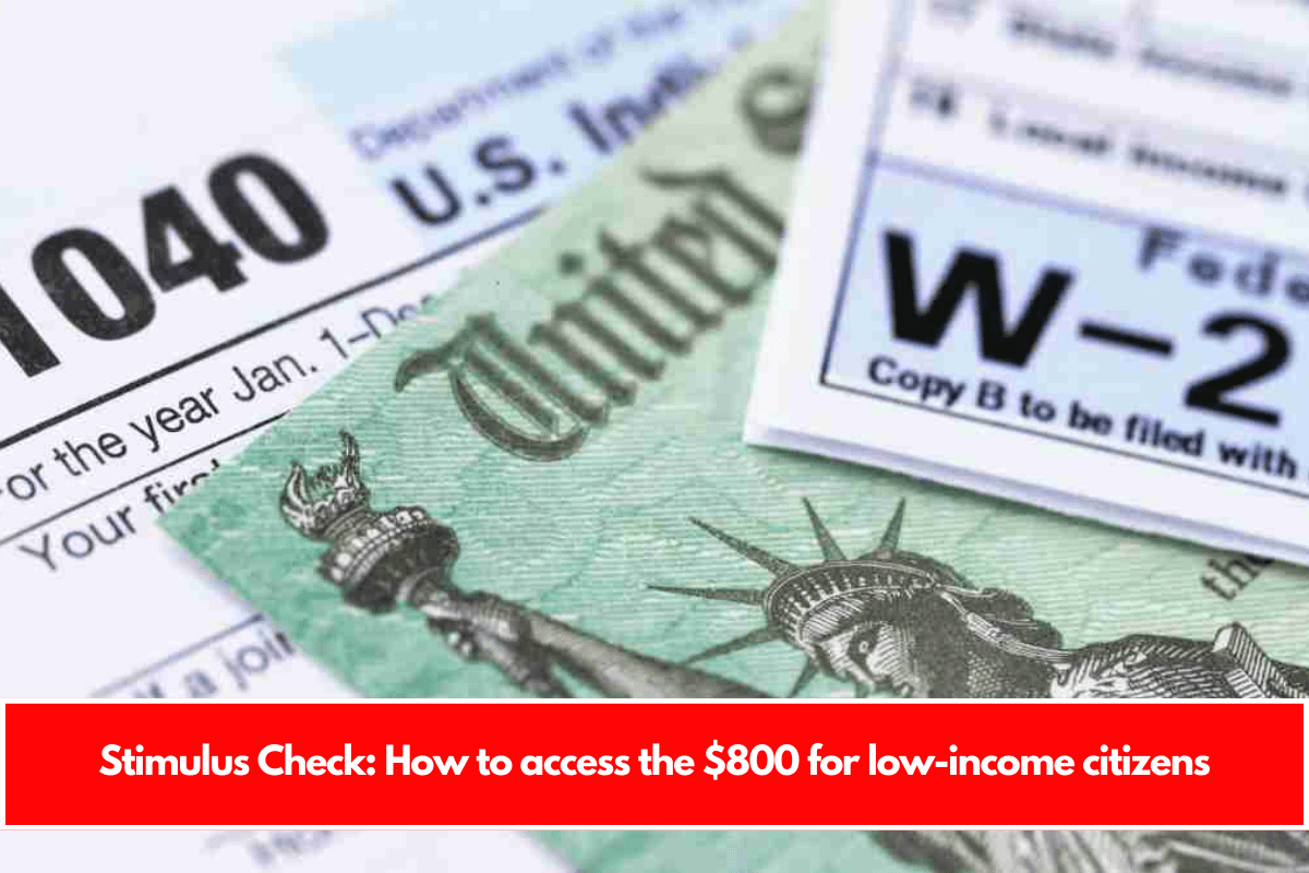 Stimulus Check How to access the $800 for low-income citizens